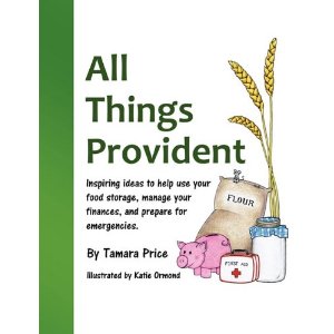 Book Image All Things Provident